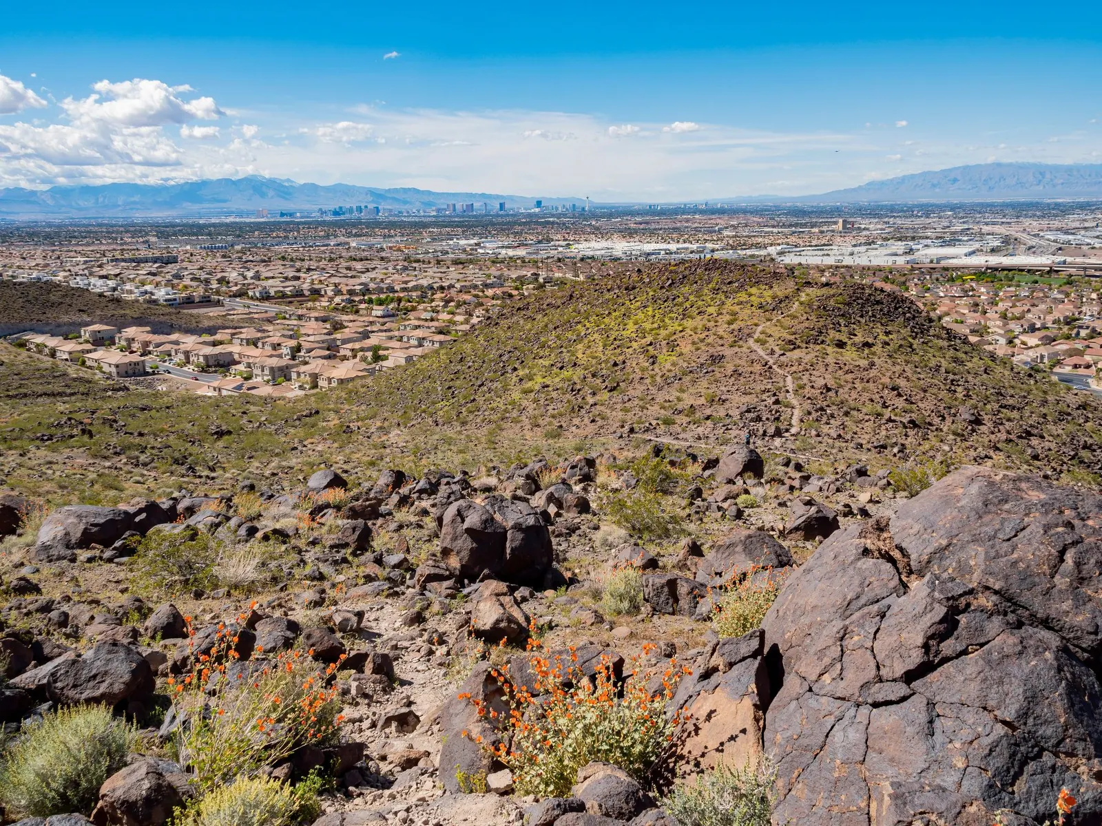 Homes in Black Mountain, Henderson NV
